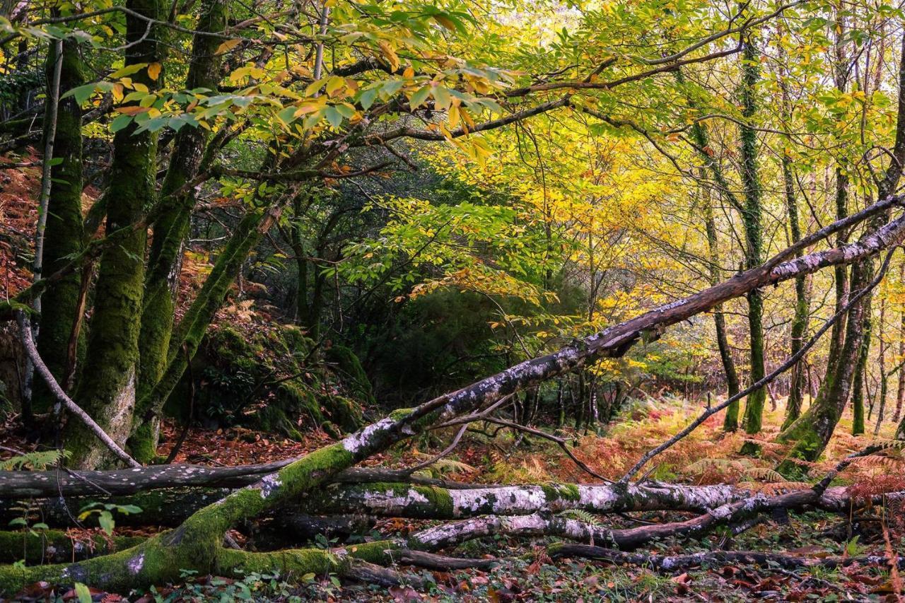 Pensjonat Casa De Turismo Rural Sabariz Zewnętrze zdjęcie